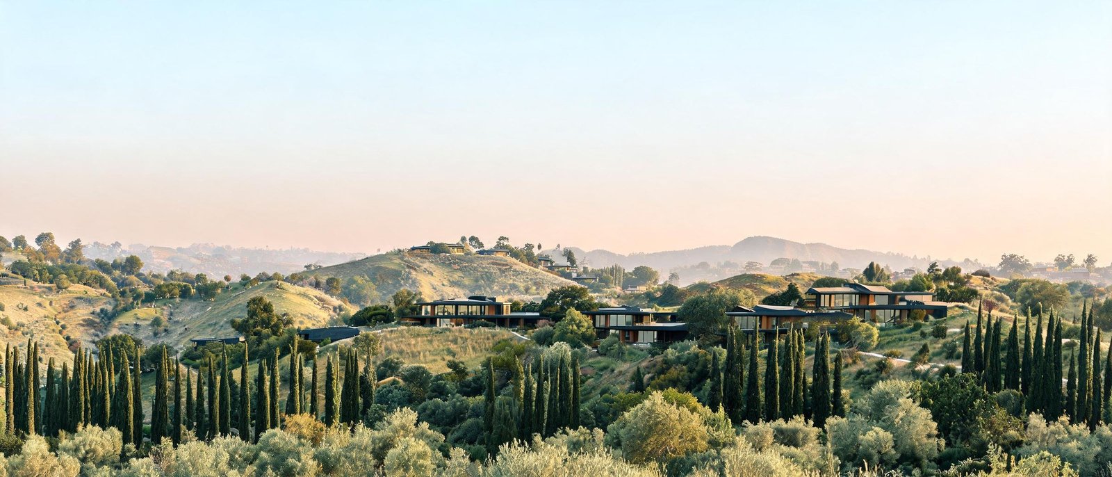 Cypress-lined Los Angeles hills with modern homes tucked among the trees